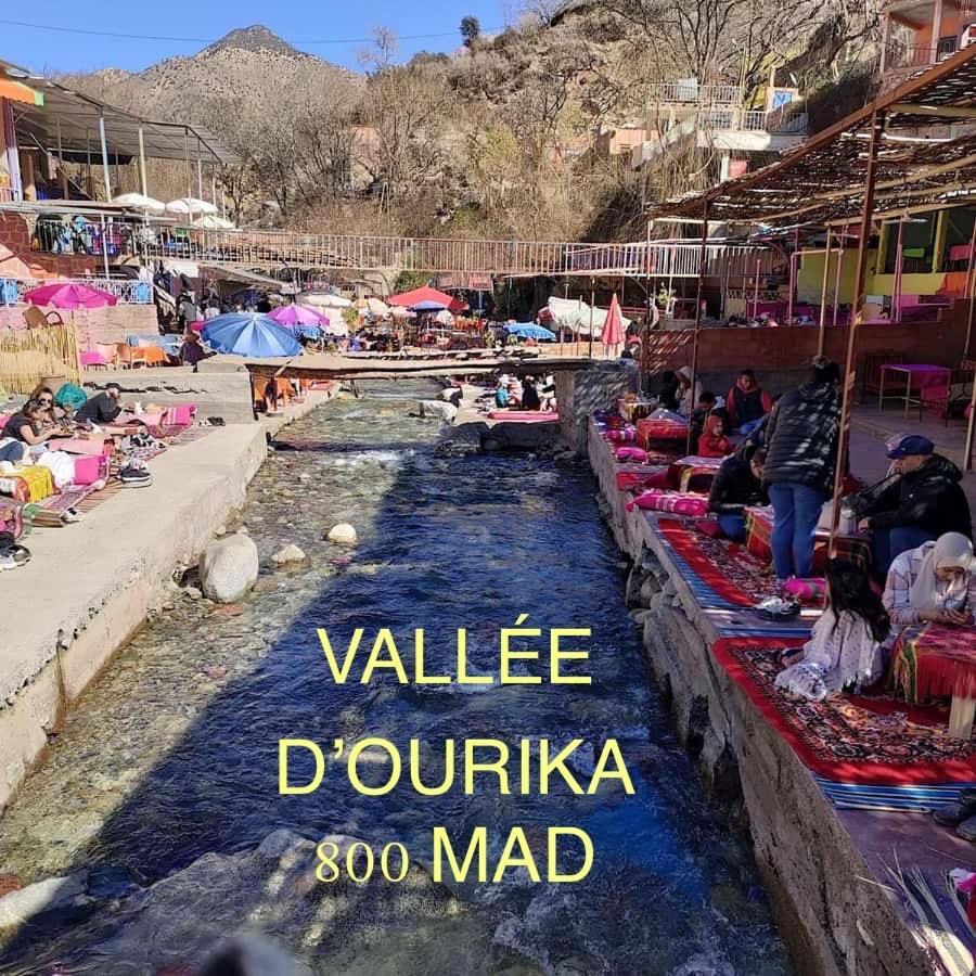 Dar Kamilya Lägenhet Marrakesh Exteriör bild
